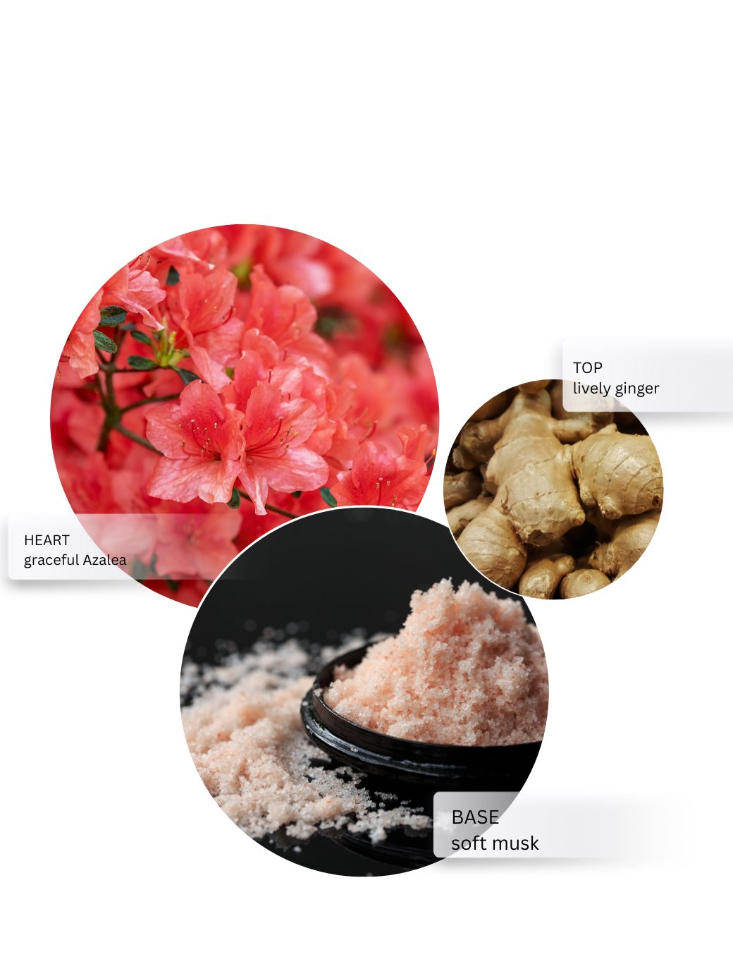 SEAWEED GEL FACEWASH - 100 ML