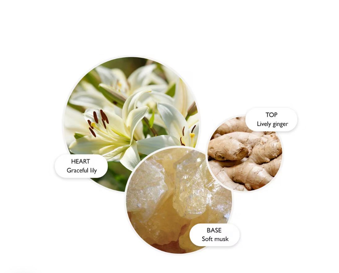 ECLAT DE MIEL- Honey Radiance Shower Gel -  300ml